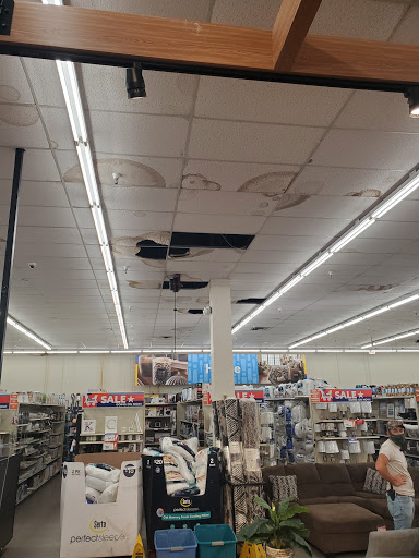 Discount Store «Big Lots», reviews and photos, 775 S Orange Blossom Trail, Apopka, FL 32703, USA