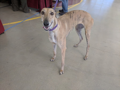 Sports Complex «All Star Family Fun & Events», reviews and photos, 2638 Emmitsburg Rd, Gettysburg, PA 17325, USA