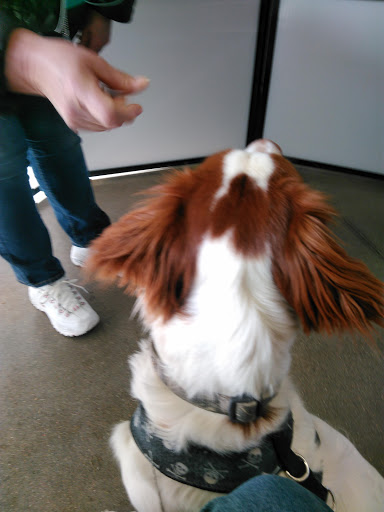 Pet Supply Store «Petco Animal Supplies», reviews and photos, 3430 W State St, Grand Island, NE 68803, USA