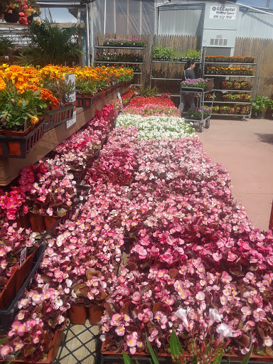 Childrens Farm «Best Long Island Pumpkin Picking», reviews and photos, 250 Old Country Rd, Melville, NY 11747, USA