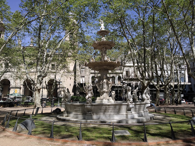 Opiniones de Plaza Constitución / Plaza Matriz en Montevideo - Museo