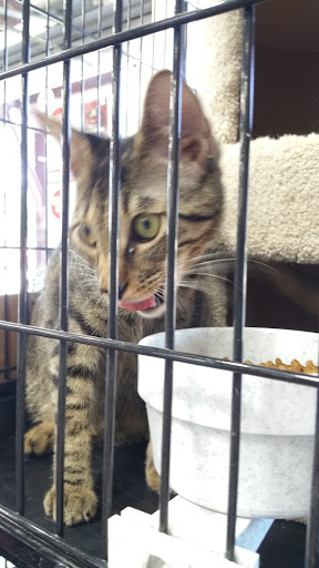 Pet Store «Pet Valu», reviews and photos, 70 Buckwalter Rd, Royersford, PA 19468, USA