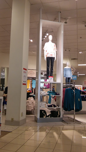 Department Store «JCPenney», reviews and photos, 3401 Nicholasville Rd #116, Lexington, KY 40503, USA