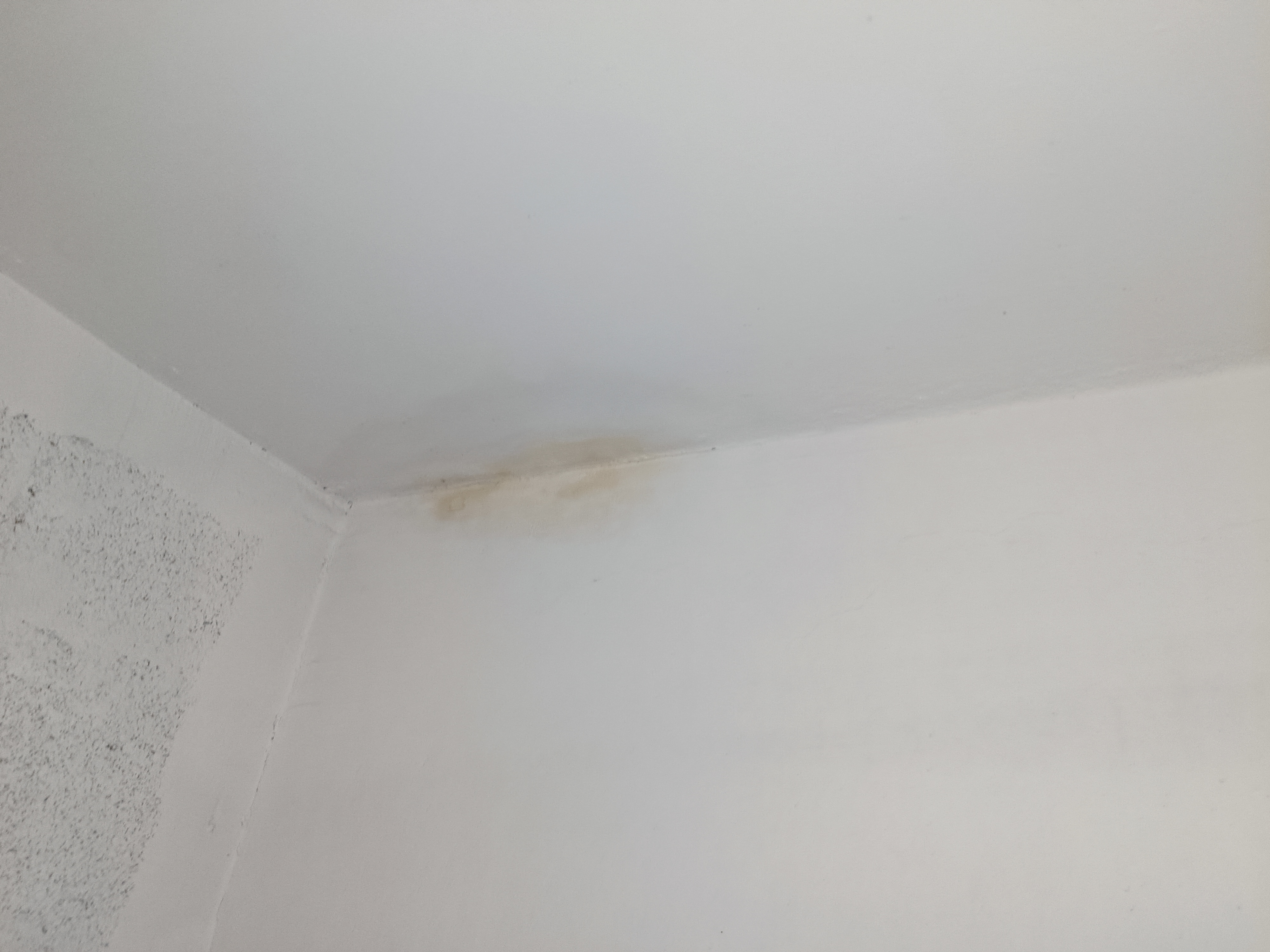 Photo n° 5 de l'avis de Houari. fait le 28/06/2023 à 19:16