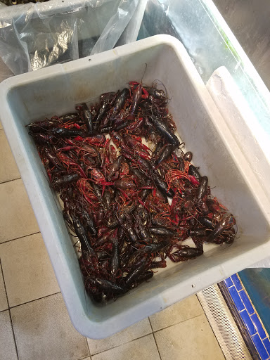 Supermarket «Good Fortune Supermarket», reviews and photos, 25-03 Parsons Blvd, Flushing, NY 11354, USA