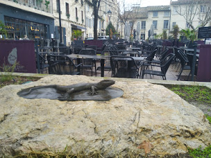 Photo n°14 de Aubergine à Villeneuve-lès-Avignon ()