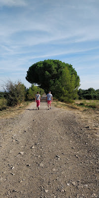 Le Verger d'Aline à Caunes-Minervois