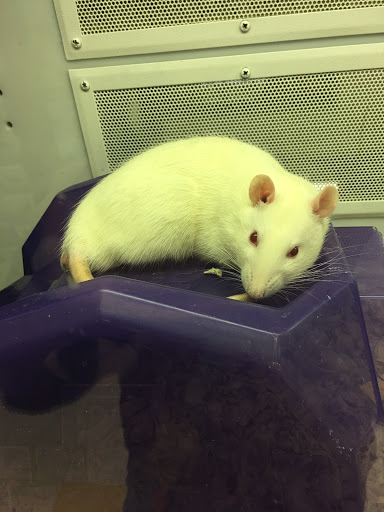 Pet Supply Store «Petco Animal Supplies», reviews and photos, 205 Goodman Rd W, Southaven, MS 38671, USA