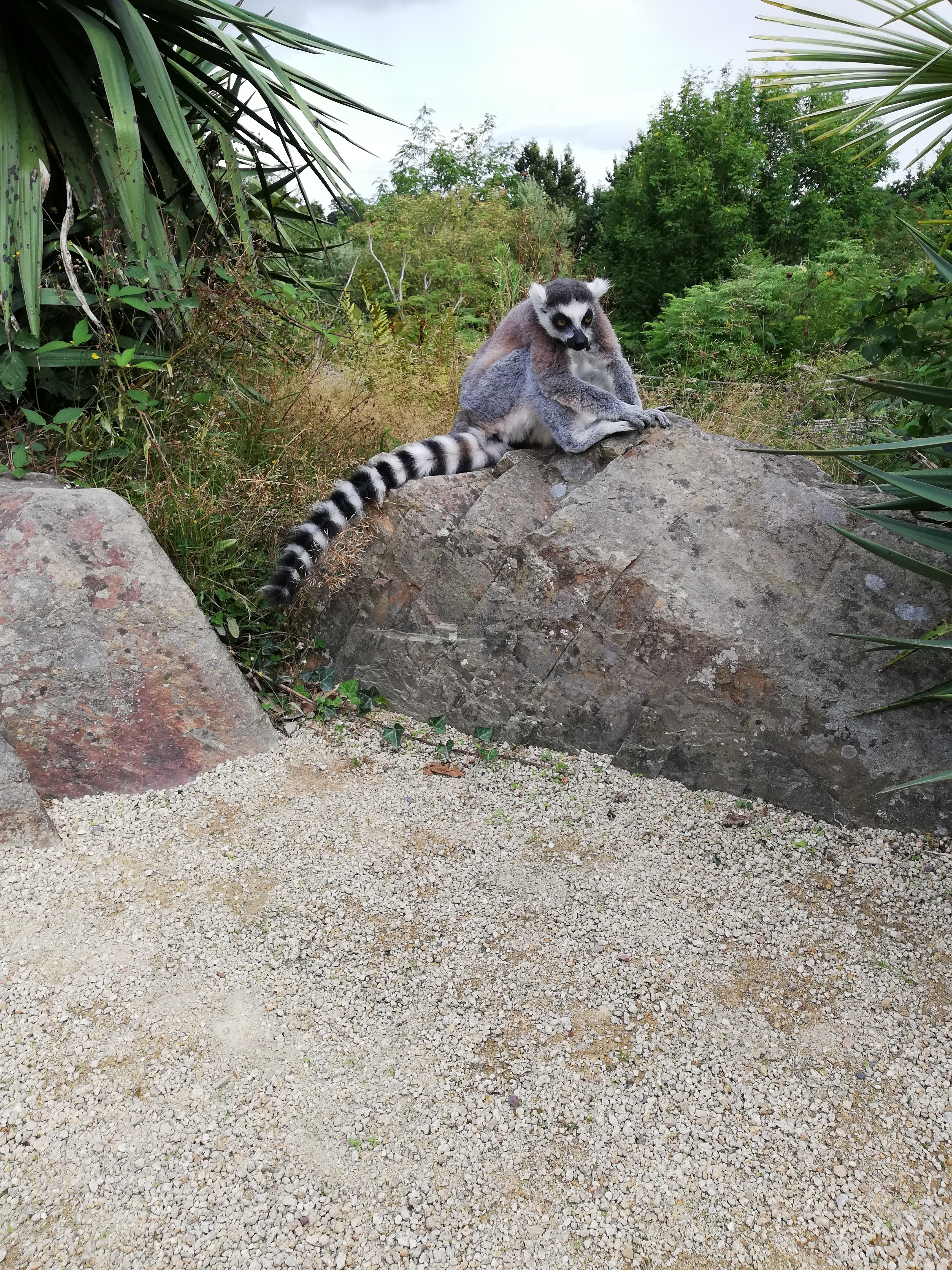 Photo n° 8 de l'avis de Elisabete.a fait le 04/09/2019 à 10:33