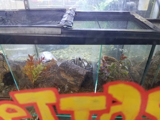 Pet Supply Store «Pet Club Santa Rosa», reviews and photos, 1935 Santa Rosa Ave, Santa Rosa, CA 95407, USA