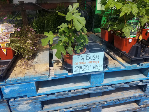 Produce Market «Puglias Produce», reviews and photos, 381 Fries Mill Rd, Sewell, NJ 08080, USA