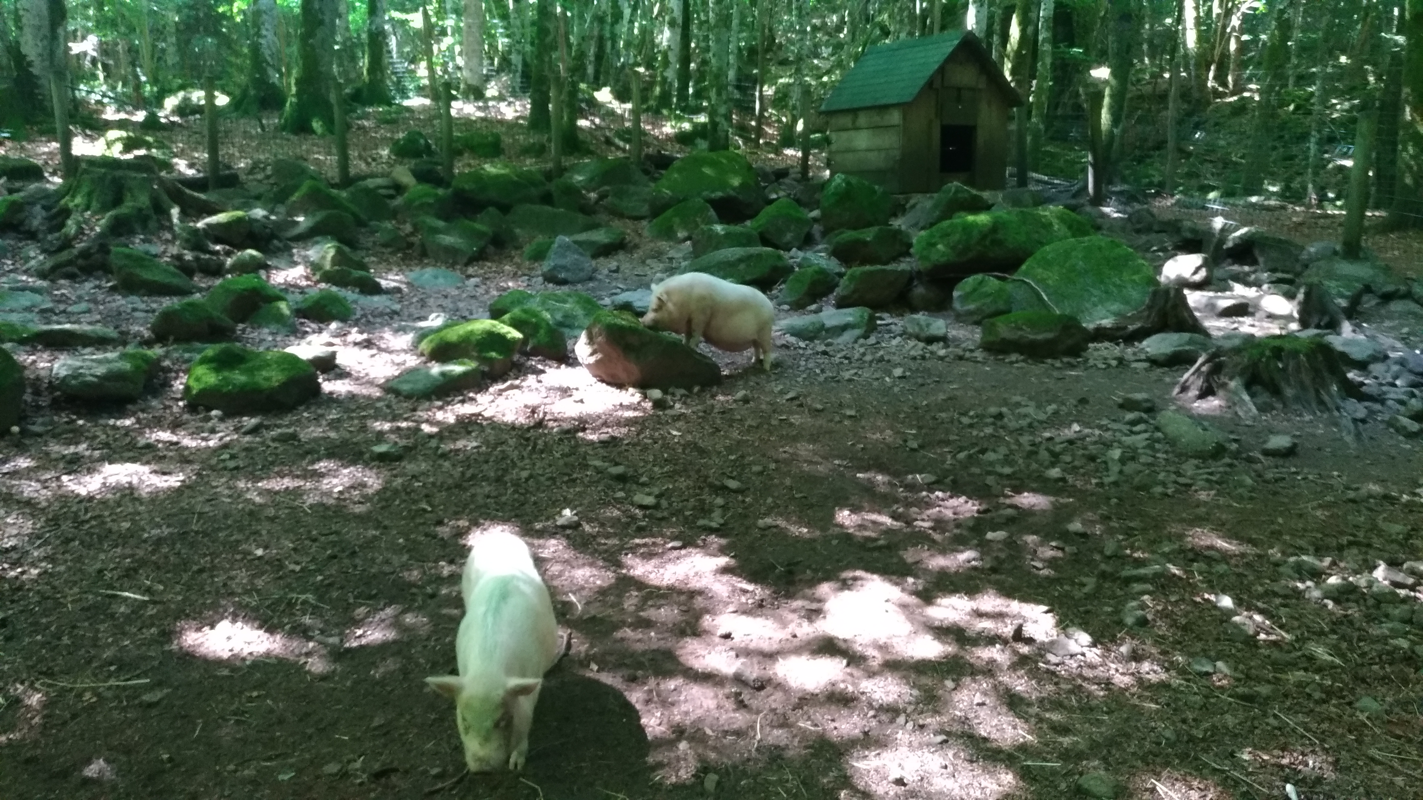 Photo n° 10 de l'avis de Virginie.H fait le 30/07/2019 à 23:50