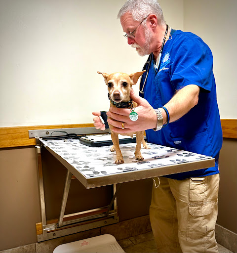 Advanced Veterinary Care of Olathe image
