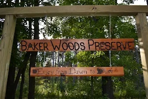Baker Woods Preserve image