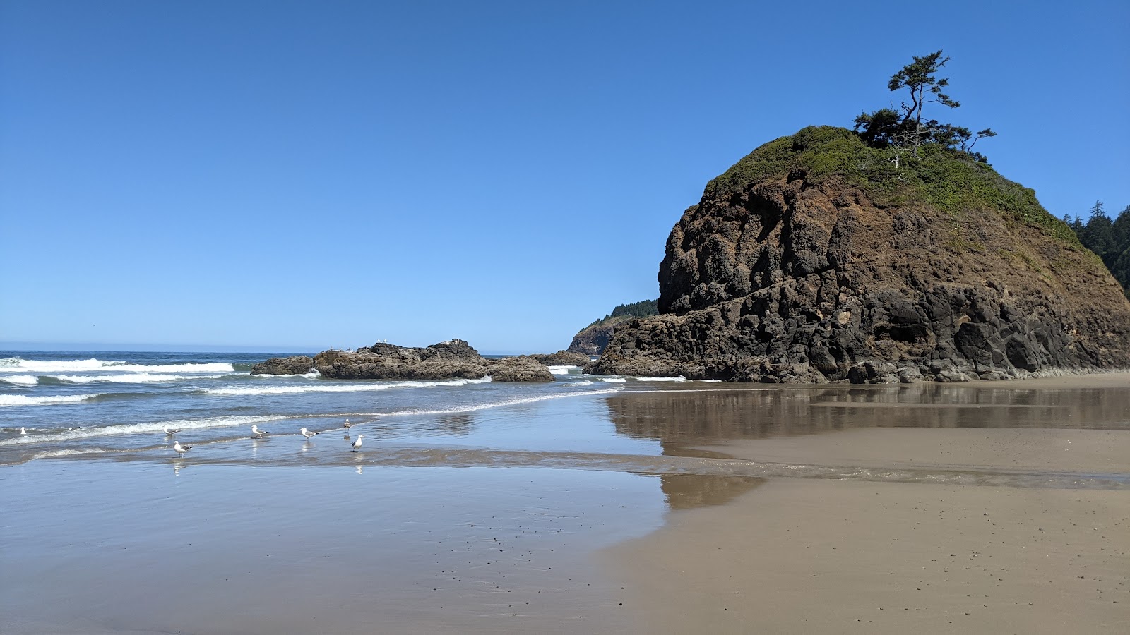 Photo of Larson Creek beach Oregon with spacious shore