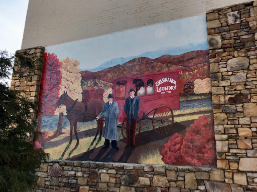 Dry Cleaner «Swannanoa Cleaners», reviews and photos, 165 Coxe Ave, Asheville, NC 28801, USA