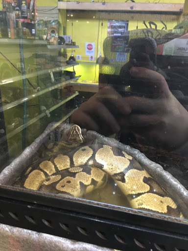 Pet Store «Critter Cabana - Wilsonville», reviews and photos, 8406 SW Main St #200, Wilsonville, OR 97070, USA