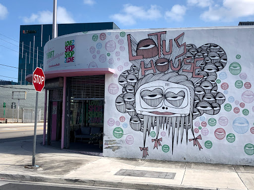 Thrift Store «Lotus House Thrift Chic Boutique», reviews and photos, 2040 NW 7th Ave, Miami, FL 33127, USA