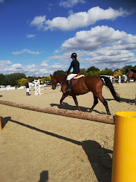 Photo n°2 de Centre Équestre Poney Club des Herbiers à Les Herbiers ()