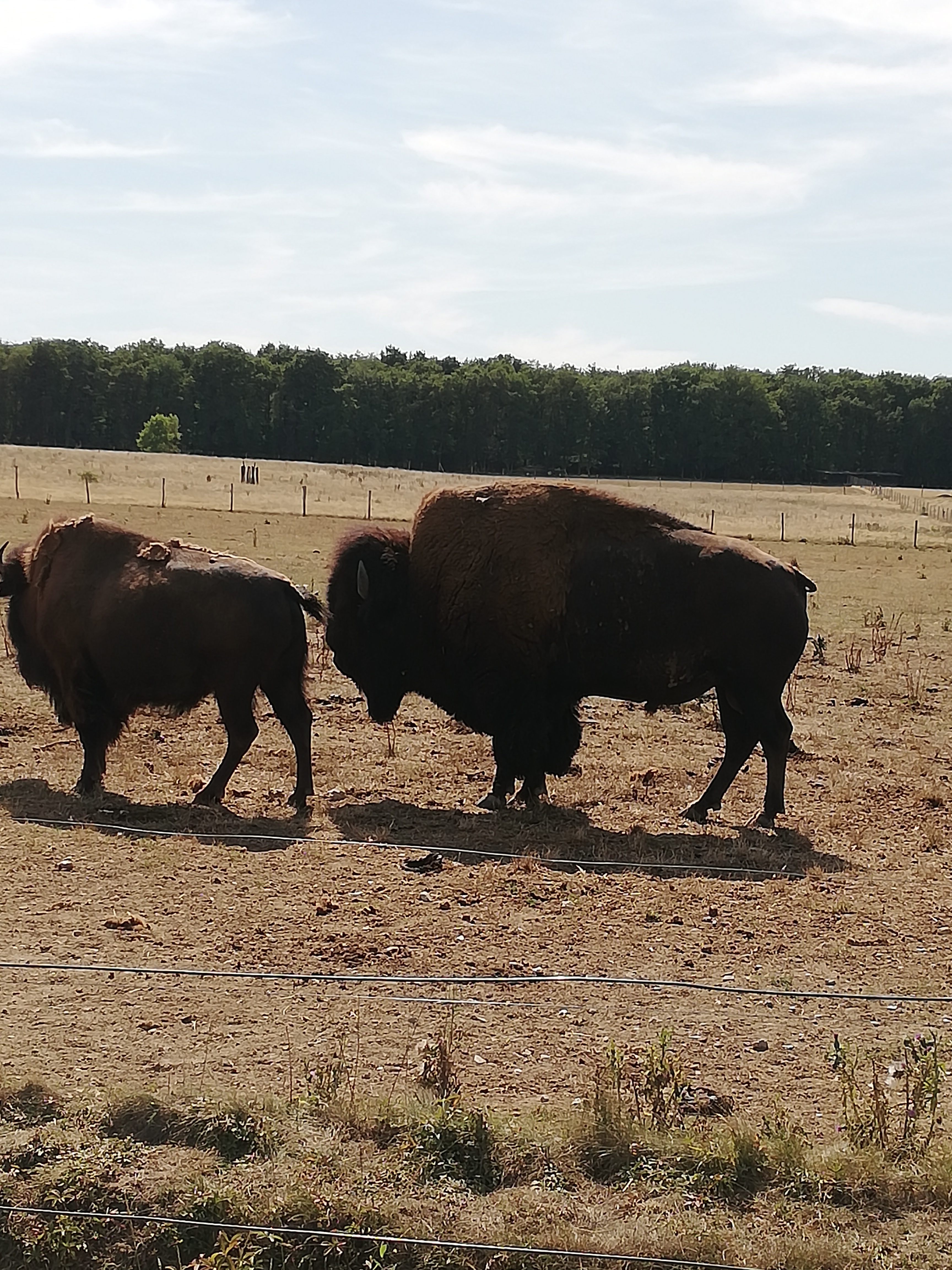 Photo n° 44 de l'avis de Severine.e fait le 23/08/2019 à 23:18