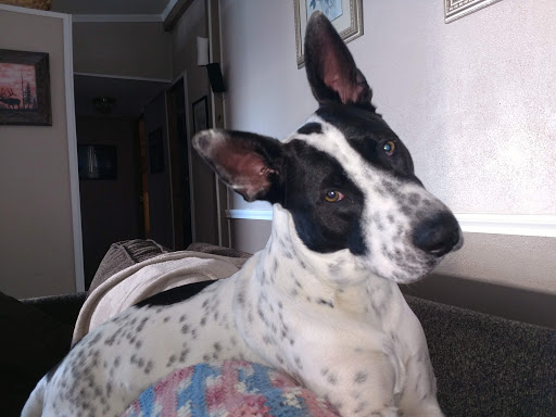 Mattress Store «Mattress World Northwest», reviews and photos, 39565 Proctor Blvd, Sandy, OR 97055, USA