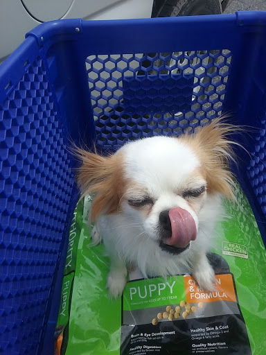 Pet Supply Store «PetSmart», reviews and photos, 2997 Max Ave, Bozeman, MT 59718, USA