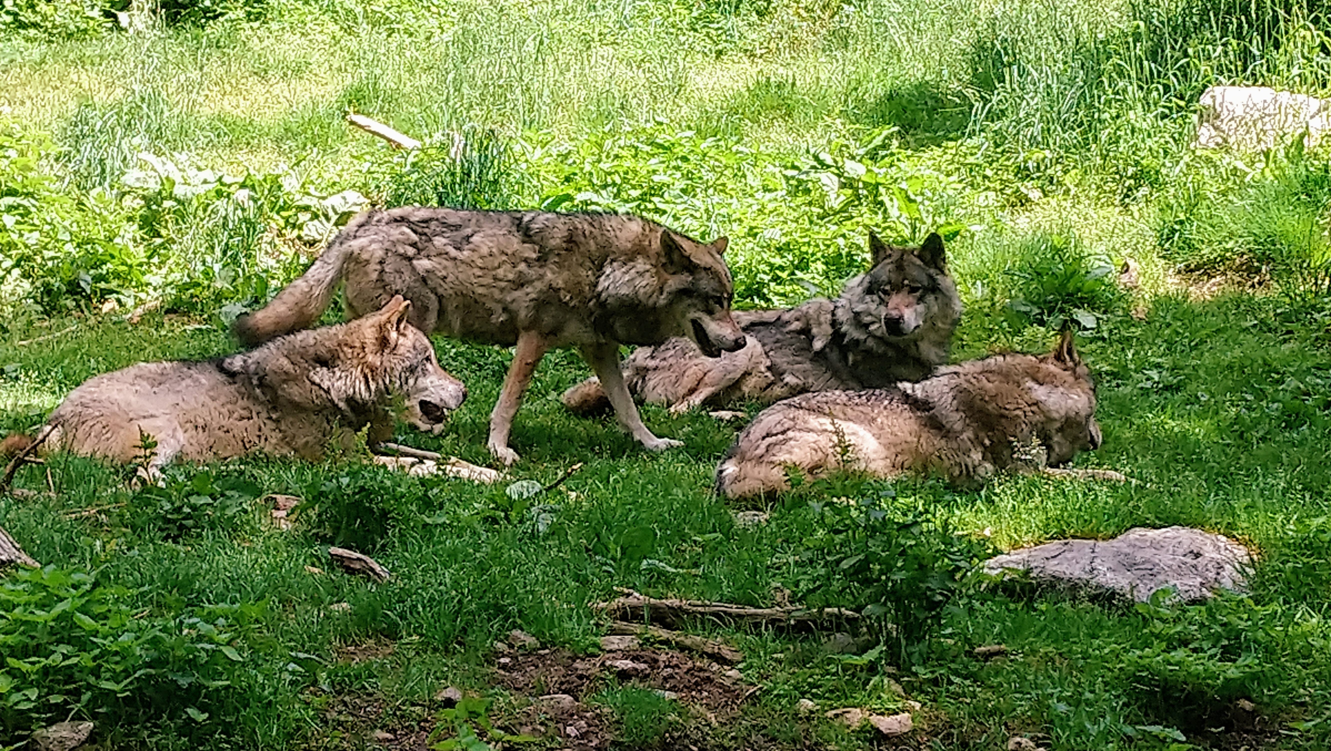Photo n° 16 de l'avis de CHRISTOPHE. fait le 02/08/2019 à 07:51