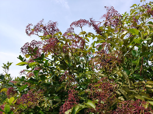 Farm «Heron Pond Farm», reviews and photos, 299 Main Ave, South Hampton, NH 03827, USA