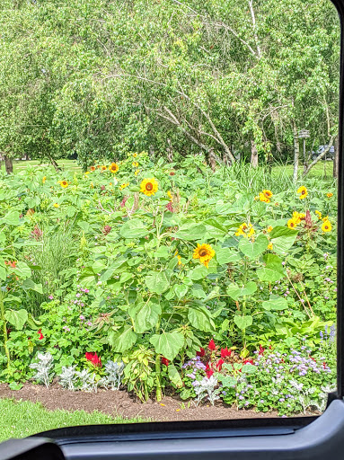 Museum «NATIONAL MUSEUM OF DANCE», reviews and photos, 99 S Broadway, Saratoga Springs, NY 12866, USA