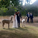 Photo n°1 de l'avis de Margarete.r fait le 22/08/2020 à 10:59 sur le  Restaurant Haus Bey à Nettetal