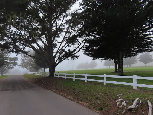 Public Golf Course «Morro Bay Golf Course», reviews and photos, 201 State Park Rd, Morro Bay, CA 93442, USA