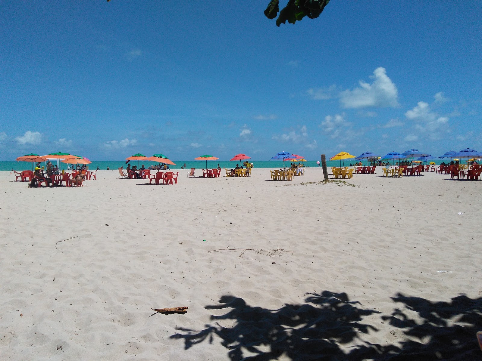 Praia de Jaguaribe的照片 带有碧绿色水表面