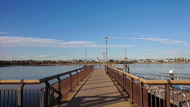 レイクタウン湖畔の森公園 埼玉県越谷市レイクタウン 公園 グルコミ