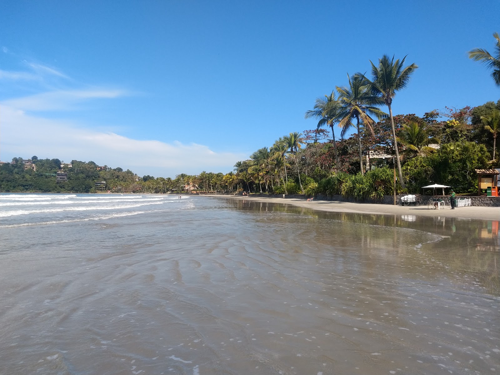 Iporanga Plajı'in fotoğrafı vahşi alan