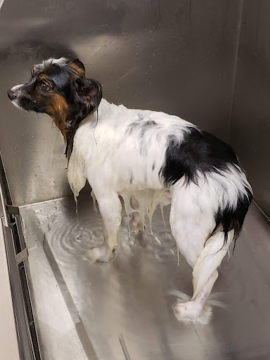 Pet Supply Store «Lemos Feed & Pet Supply», reviews and photos, 1320 Main St, Morro Bay, CA 93442, USA