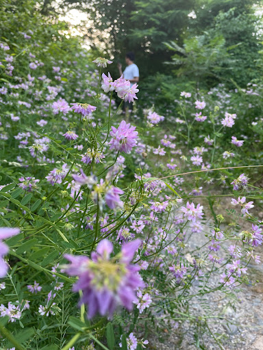 Park «Prospect Hill Park», reviews and photos, 314 Totten Pond Rd, Waltham, MA 02451, USA