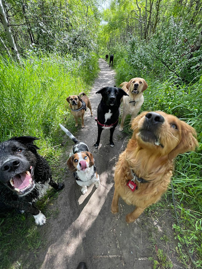 Ramble On! Dog Walking and Pet Services