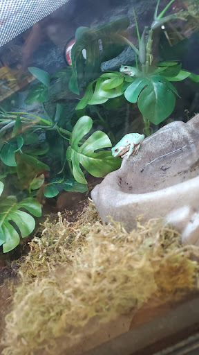 Pet Supply Store «Petco Animal Supplies», reviews and photos, 2072 Sycamore Rd, DeKalb, IL 60115, USA