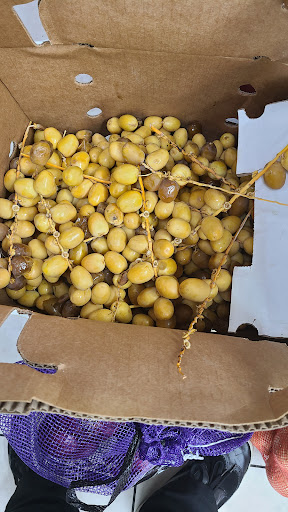 Mediterranean Restaurant «Amana Food Market», reviews and photos, 4815 E Busch Blvd #112, Tampa, FL 33617, USA