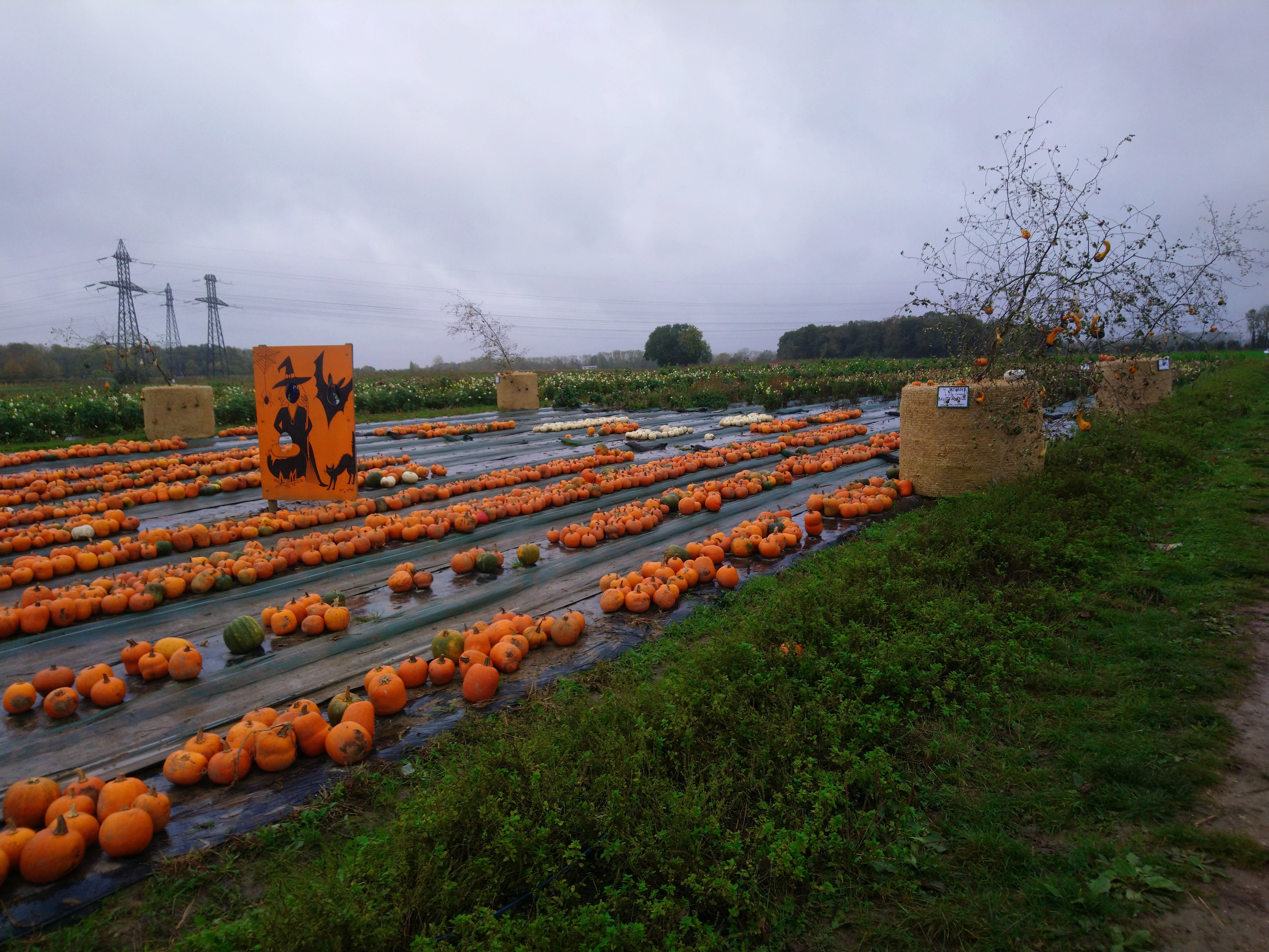 Photo n° 1 de l'avis de Johan. fait le 27/10/2020 à 15:29