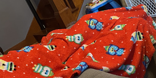 Thrift Store «Goodwill Industries Sterling», reviews and photos, 2216 E 4th St, Sterling, IL 61081, USA