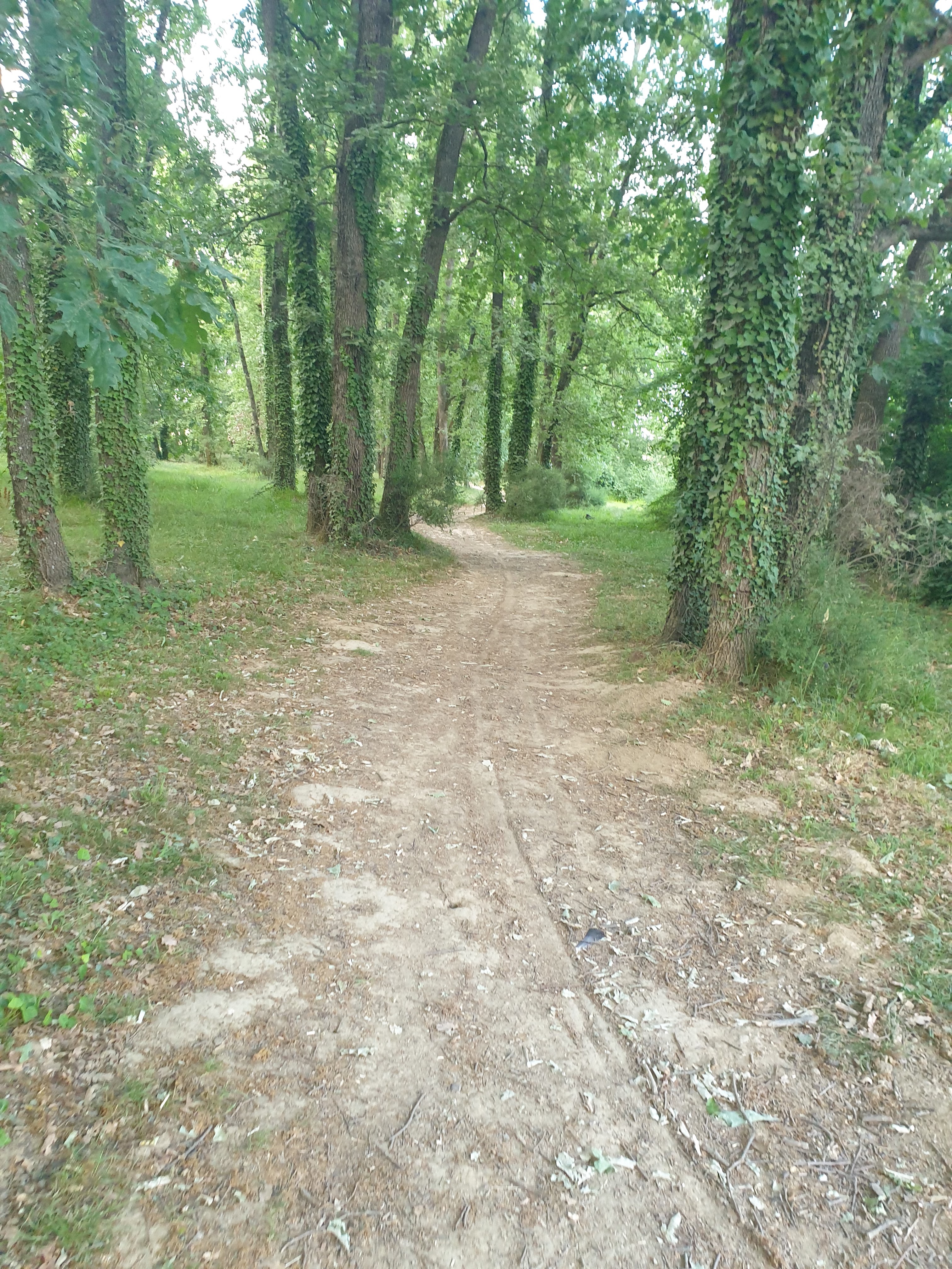 Photo n° 1 de l'avis de Estelle.h fait le 02/06/2022 à 20:56
