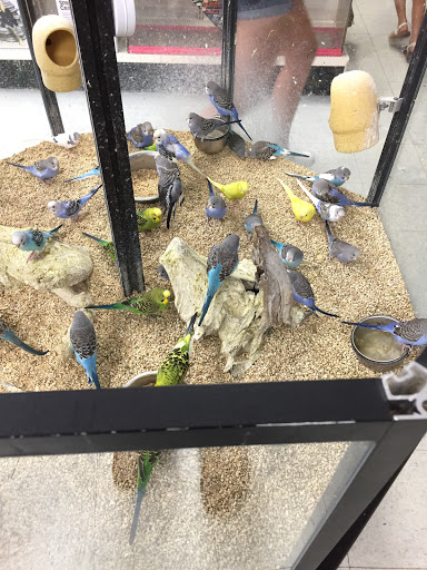 Pet Store «Inland Reef Pet Store», reviews and photos, 817 Cross Lanes Dr, Cross Lanes, WV 25313, USA