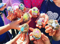 Dragonfly Designs - Photo 9 - Car repair in San Mateo, CA, San Mateo