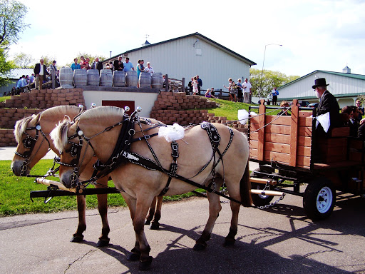 Winery «Carlos Creek Winery», reviews and photos, 6693 County Rd 34 NW, Alexandria, MN 56308, USA