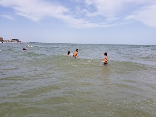 Gift Shop «North Beach Gift Shop», reviews and photos, 2901 Surfside Blvd, Corpus Christi, TX 78402, USA