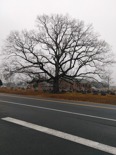 Discount Store «Dollar General», reviews and photos, 4240 Highpoint Rd, Albertville, AL 35950, USA