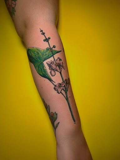 Explore tattoo ideas ocean, creative tattoo ideas in Melbourne, available at Reef Side Tattoo Melbourne Tattoo Shop