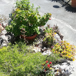 Photo n°15 de l'avis de Mani.a fait le 03/04/2018 à 09:14 sur le  La Casetta Bianca à Praia a Mare