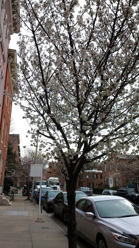 Monument «Washington Monument», reviews and photos, 699 Washington Pl, Baltimore, MD 21201, USA